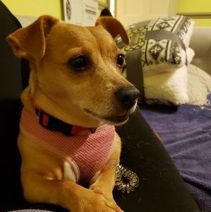 Meet your Posher, Irene